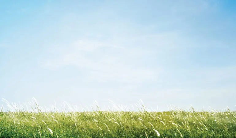 Vyom (Mind Management)