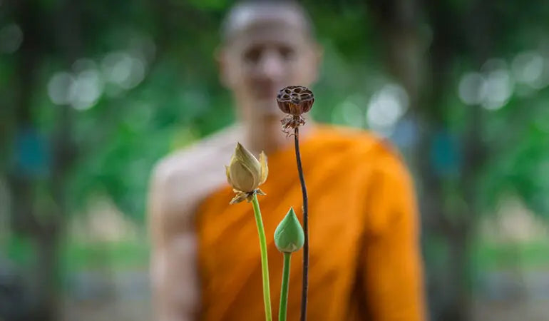 Padma (Yogic Studies)